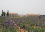 Barbizon Vacation Resort